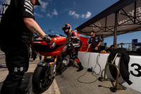 Daytona